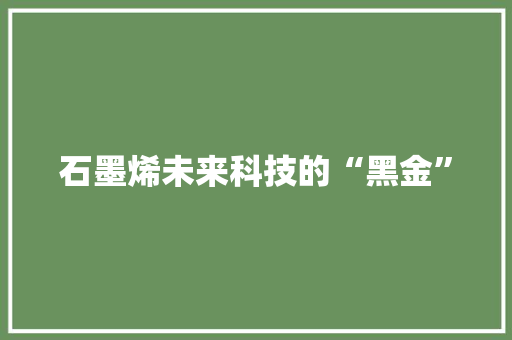 石墨烯未来科技的“黑金”