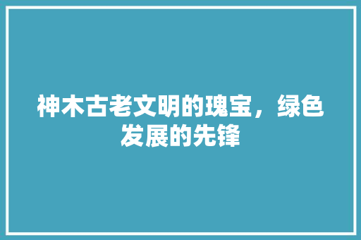 神木古老文明的瑰宝，绿色发展的先锋  第1张
