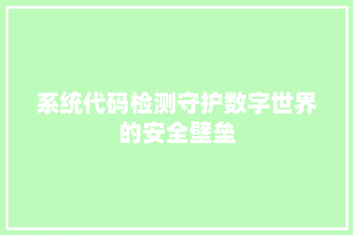 系统代码检测守护数字世界的安全壁垒