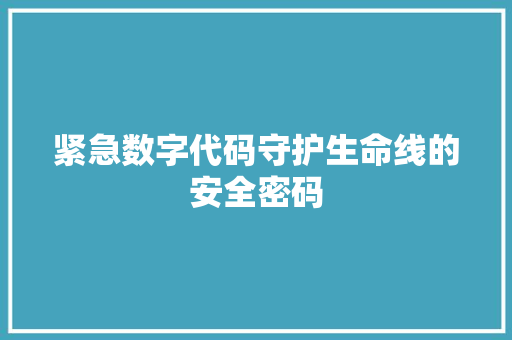 紧急数字代码守护生命线的安全密码