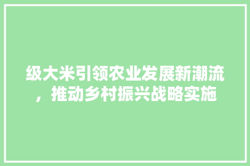 级大米引领农业发展新潮流，推动乡村振兴战略实施