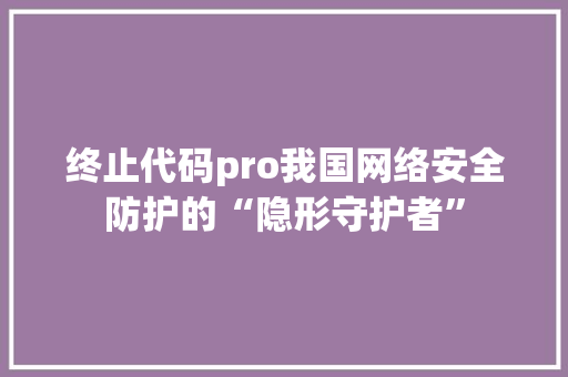 终止代码pro我国网络安全防护的“隐形守护者”