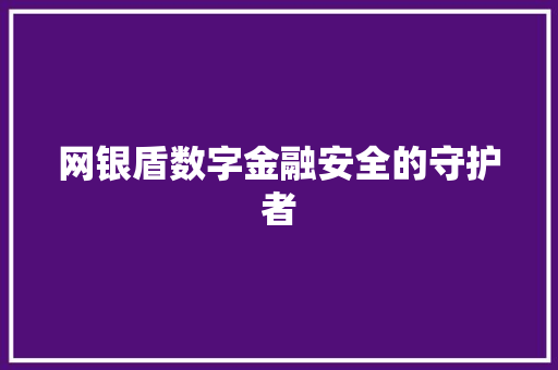 网银盾数字金融安全的守护者