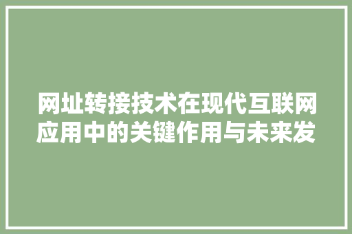 网址转接技术在现代互联网应用中的关键作用与未来发展