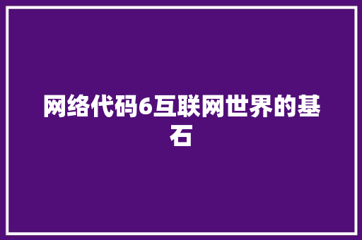 网络代码6互联网世界的基石