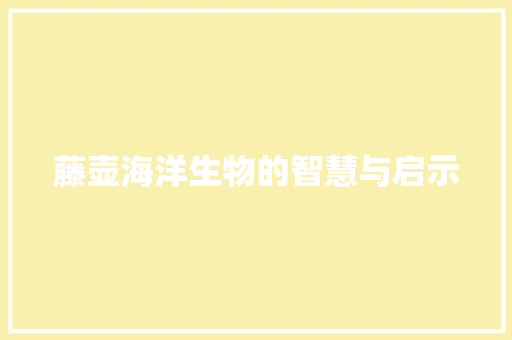 藤壶海洋生物的智慧与启示  第1张