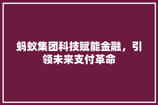 蚂蚁集团科技赋能金融，引领未来支付革命