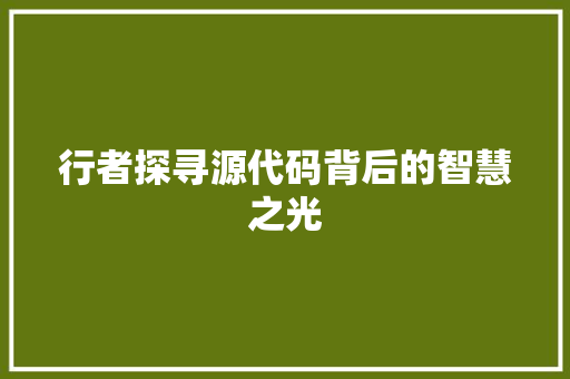 行者探寻源代码背后的智慧之光