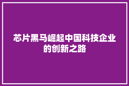 芯片黑马崛起中国科技企业的创新之路  第1张