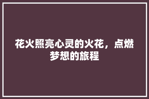 花火照亮心灵的火花，点燃梦想的旅程