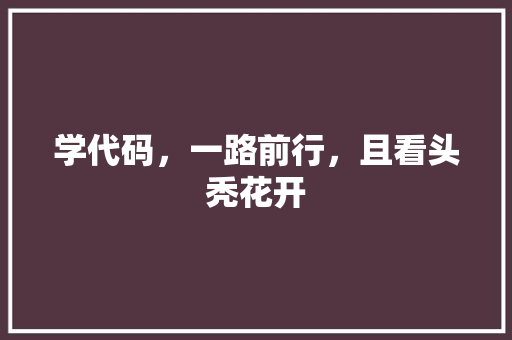 学代码，一路前行，且看头秃花开