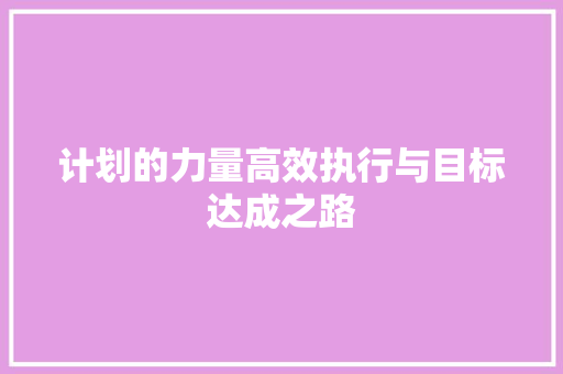 计划的力量高效执行与目标达成之路