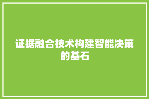 证据融合技术构建智能决策的基石