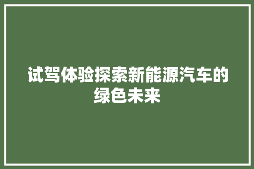 试驾体验探索新能源汽车的绿色未来