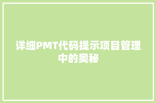 详细PMT代码提示项目管理中的奥秘  第1张