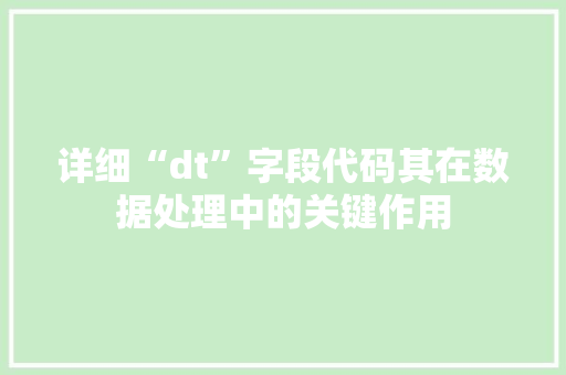 详细“dt”字段代码其在数据处理中的关键作用