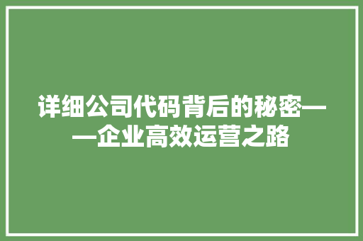 详细公司代码背后的秘密——企业高效运营之路