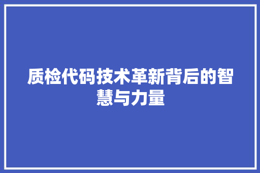 质检代码技术革新背后的智慧与力量