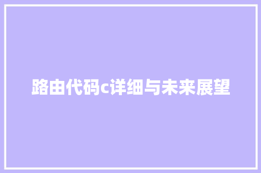 路由代码c详细与未来展望