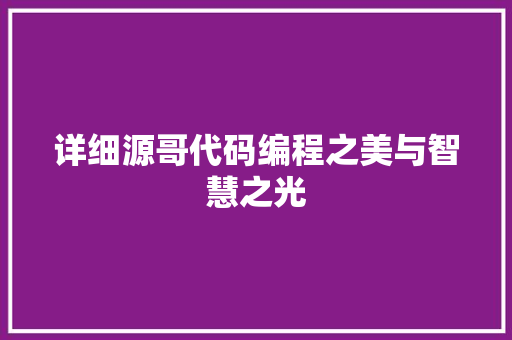 详细源哥代码编程之美与智慧之光