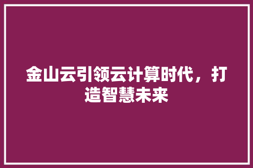 金山云引领云计算时代，打造智慧未来