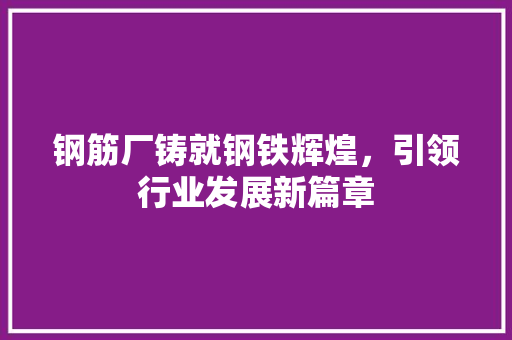 钢筋厂铸就钢铁辉煌，引领行业发展新篇章