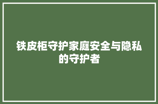 铁皮柜守护家庭安全与隐私的守护者