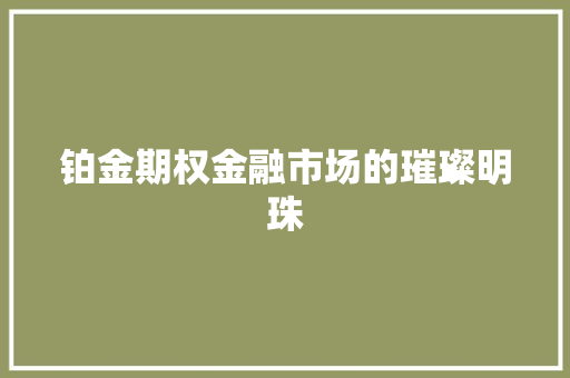 铂金期权金融市场的璀璨明珠