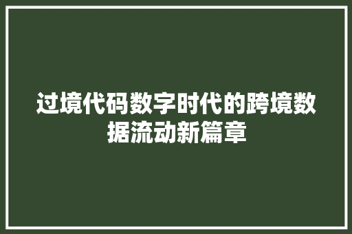 过境代码数字时代的跨境数据流动新篇章