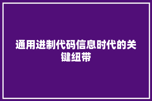 通用进制代码信息时代的关键纽带
