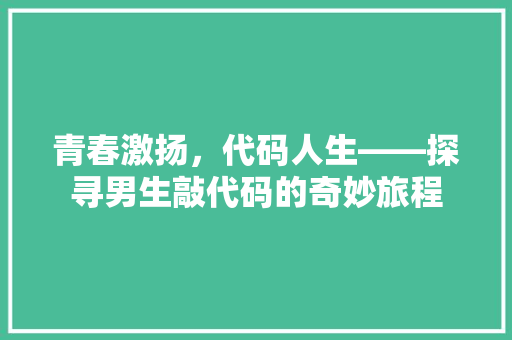 青春激扬，代码人生——探寻男生敲代码的奇妙旅程