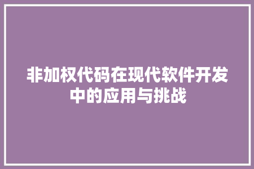 非加权代码在现代软件开发中的应用与挑战