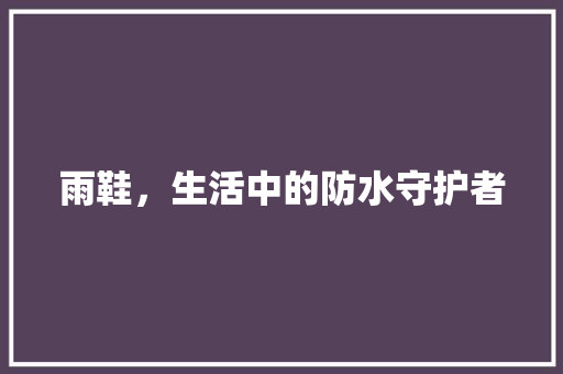 雨鞋，生活中的防水守护者
