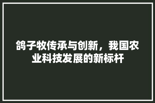 鸽子牧传承与创新，我国农业科技发展的新标杆