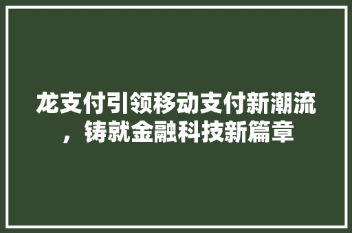 龙支付引领移动支付新潮流，铸就金融科技新篇章