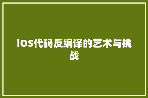 iOS代码反编译的艺术与挑战