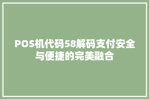 POS机代码58解码支付安全与便捷的完美融合