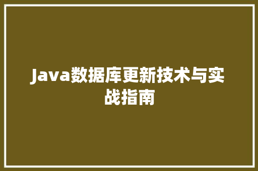 Java数据库更新技术与实战指南