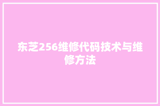 东芝256维修代码技术与维修方法