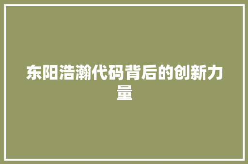 东阳浩瀚代码背后的创新力量