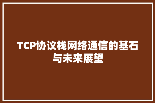 TCP协议栈网络通信的基石与未来展望  第1张