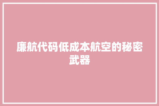 廉航代码低成本航空的秘密武器
