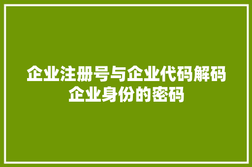 企业注册号与企业代码解码企业身份的密码