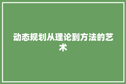 动态规划从理论到方法的艺术