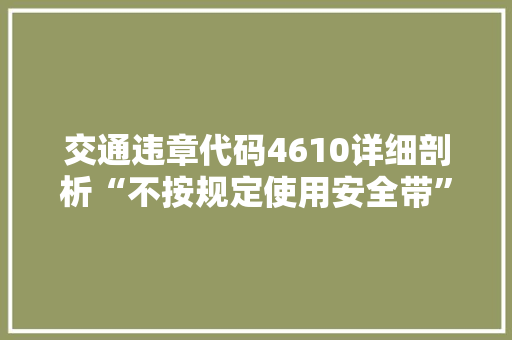 交通违章代码4610详细剖析“不按规定使用安全带”的危害与应对