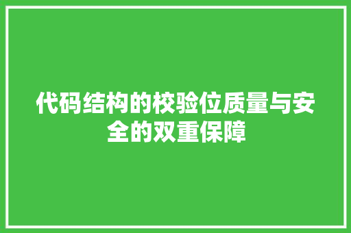 代码结构的校验位质量与安全的双重保障