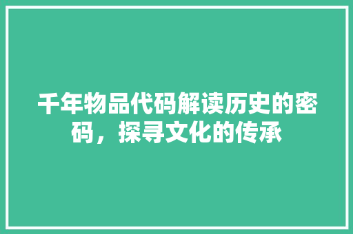 千年物品代码解读历史的密码，探寻文化的传承