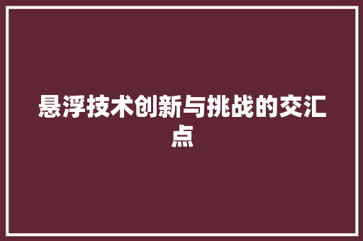 悬浮技术创新与挑战的交汇点