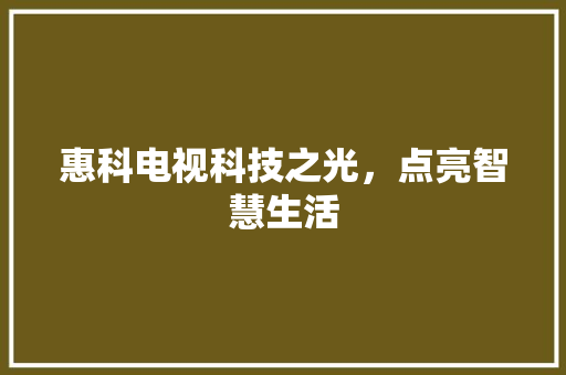 惠科电视科技之光，点亮智慧生活