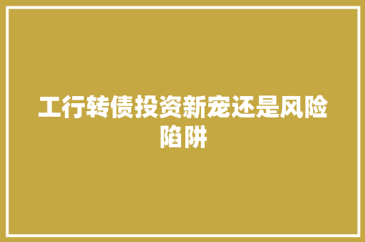 工行转债投资新宠还是风险陷阱